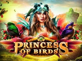 Princess of Birds thumbnail